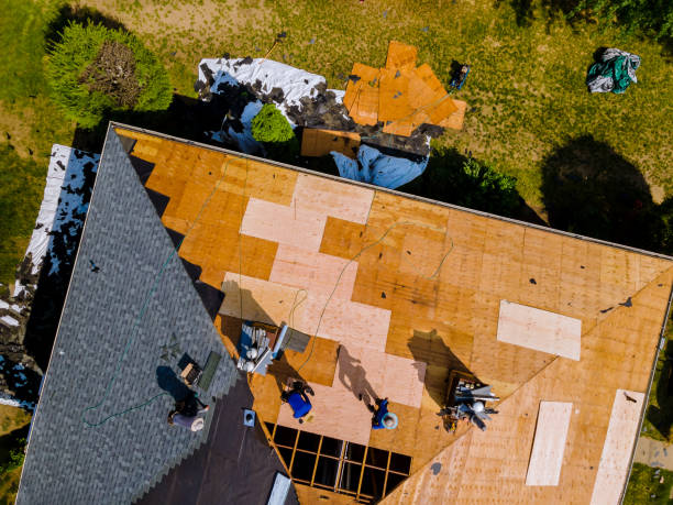 Best Metal Roofing Contractor  in Somerton, AZ